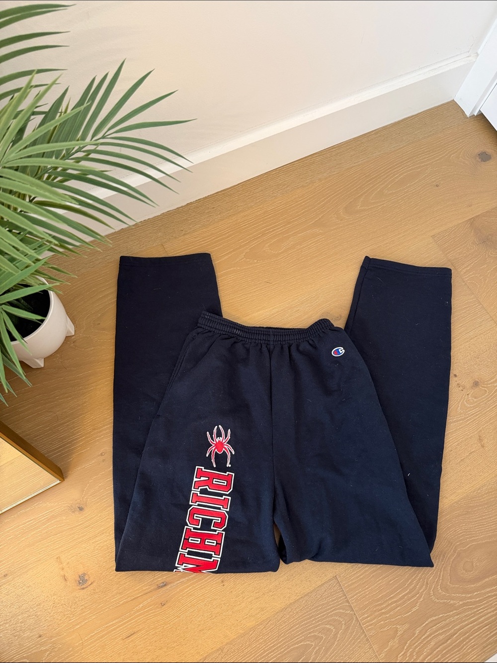 Champion Navy Blue Sweatpants with Red Spider & Richmond University Text